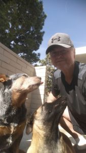 My dogs